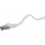 Verkkokaapeli Renkforce RF-4149852 15 m Cat6a U/FTP
