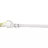 Verkkokaapeli Renkforce RF-4149873 10 m Cat6a S/FTP