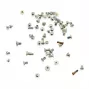 CoreParts MSPP73437 matkapuhelimen varaosa ruuvisarja hopea