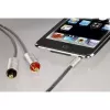 Hama 00080864 audiokaapeli 1 m 3,5 mm - 2 x RCA hopea