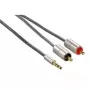 Hama 00080865 audiokaapeli 2 m 3,5 mm - 2 x RCA hopea