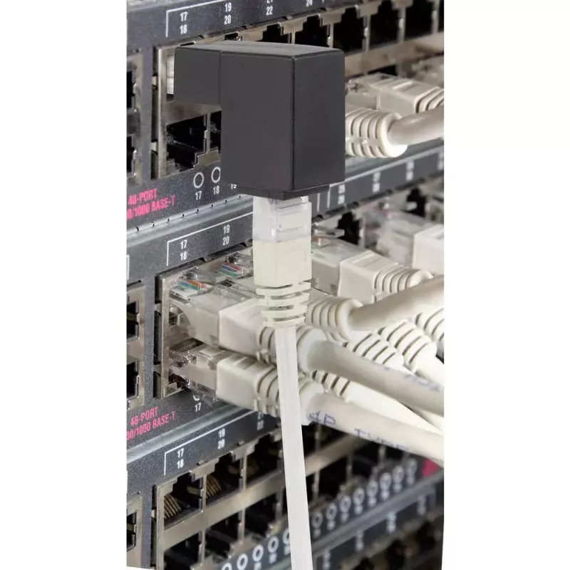 Kaapeliadapteri Renkforce RF-4087416