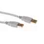 USB 2.0 A -pistoke - USB A -pistoke norsunluu 3,00 m ACT SB2503