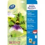 Mustesuihkupaperi Avery Premium A4 250g valkoinen satiini-matta