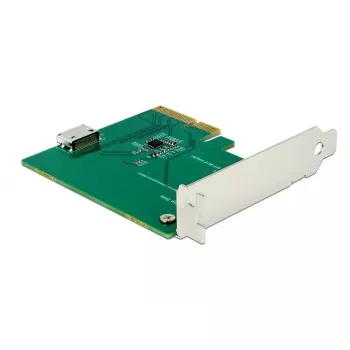 Liitäntäkortti DeLOCK 90307