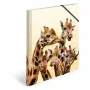Tavallinen dokumenttikansio HERMA Giraffe Friends polypropeeni (PP) monivärinen A4