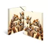 Tavallinen kansio HERMA Giraffe Friends polypropeeni A3