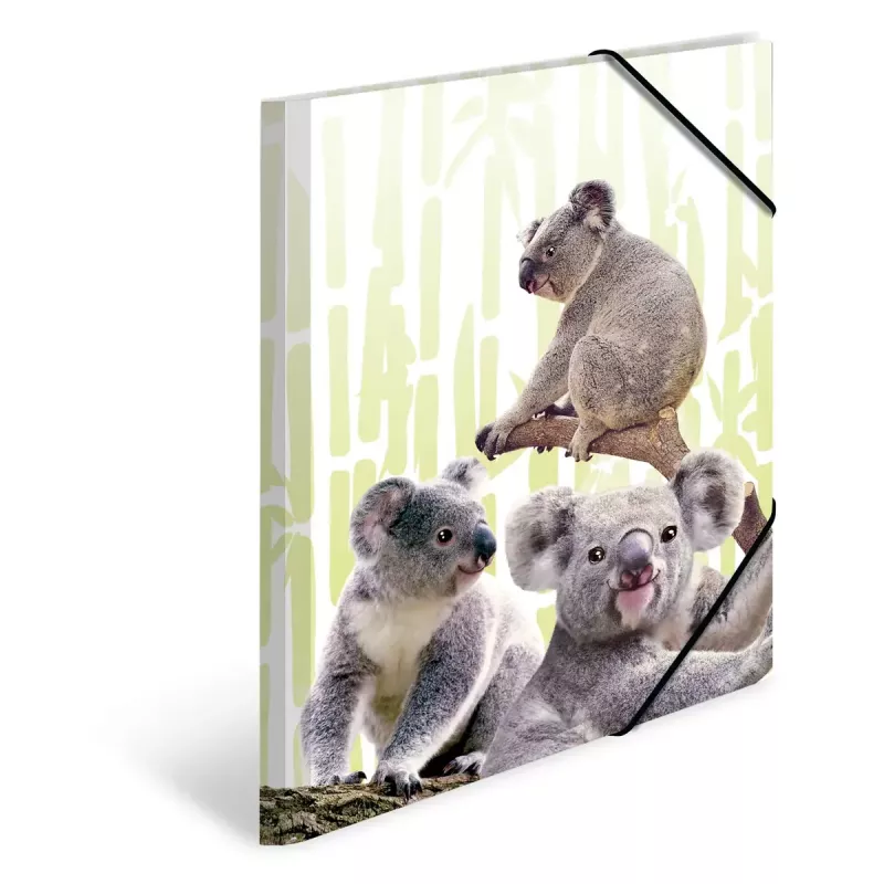 Tavallinen kansio HERMA Koalafamily A3