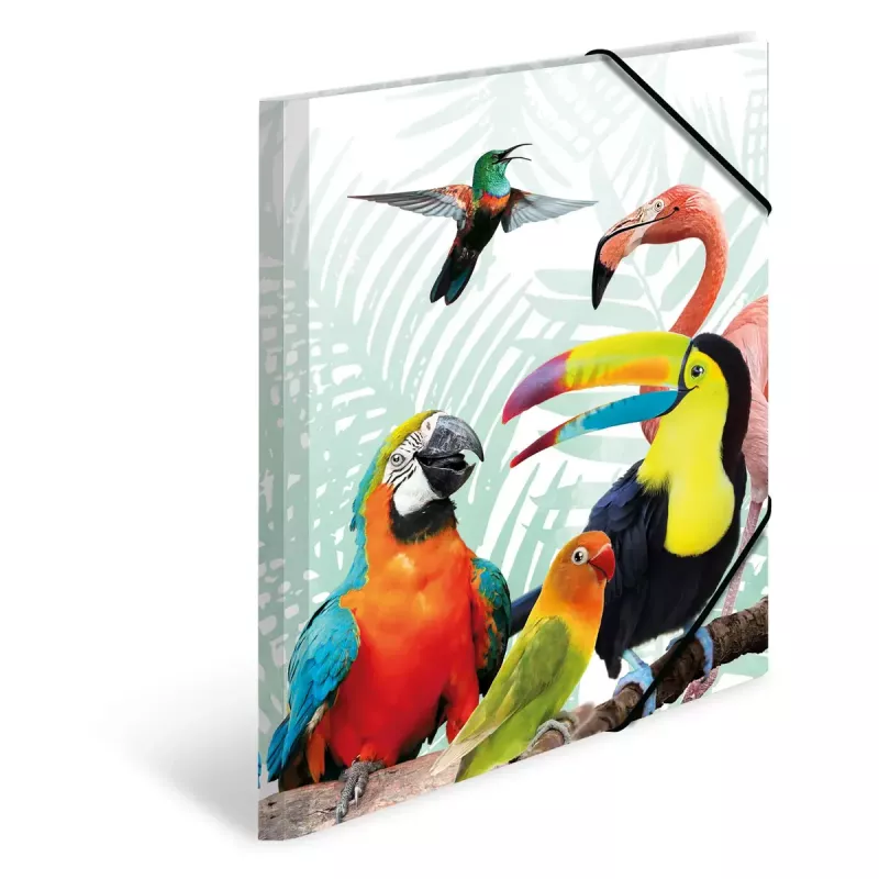 Tavallinen kansio HERMA Tropical Clique A3