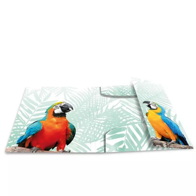 Tavallinen kansio HERMA Tropical Clique A3