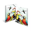 Tavallinen kansio HERMA Tropical Clique A3