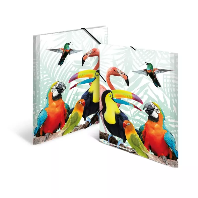 Tavallinen kansio HERMA Tropical Clique A3