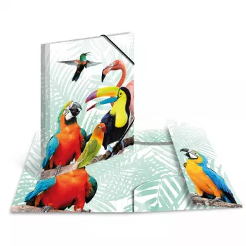 Tavallinen kansio HERMA Tropical Clique A3
