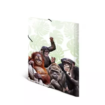 Tavallinen kansio HERMA Monkey Gang polypropeeni A3
