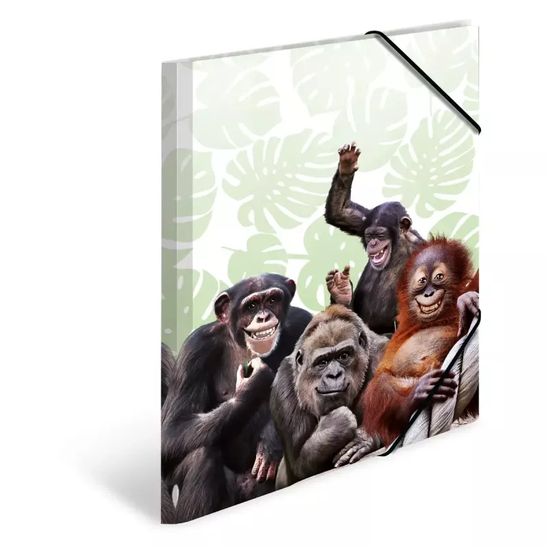 Tavallinen kansio HERMA Monkey Gang polypropeeni A3