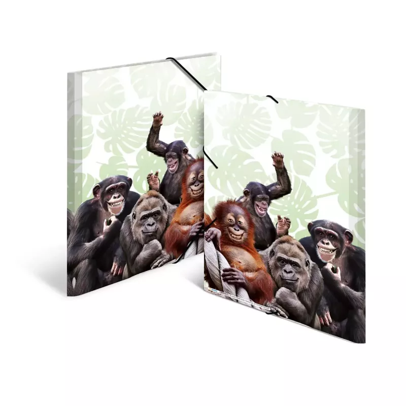 Tavallinen kansio HERMA Monkey Gang polypropeeni A3