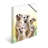 Tavallinen kansio HERMA Erdmännchen-Clique