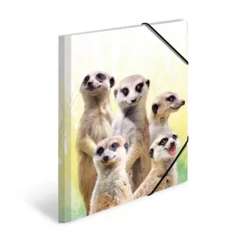 Tavallinen kansio HERMA Erdmännchen-Clique