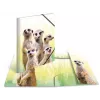 Tavallinen kansio HERMA Erdmännchen-Clique