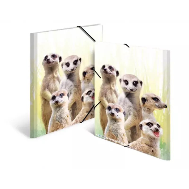 Tavallinen kansio HERMA Erdmännchen-Clique