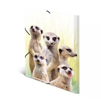 Tavallinen kansio HERMA Erdmännchen-Clique