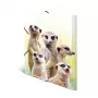 Tavallinen kansio HERMA Erdmännchen-Clique