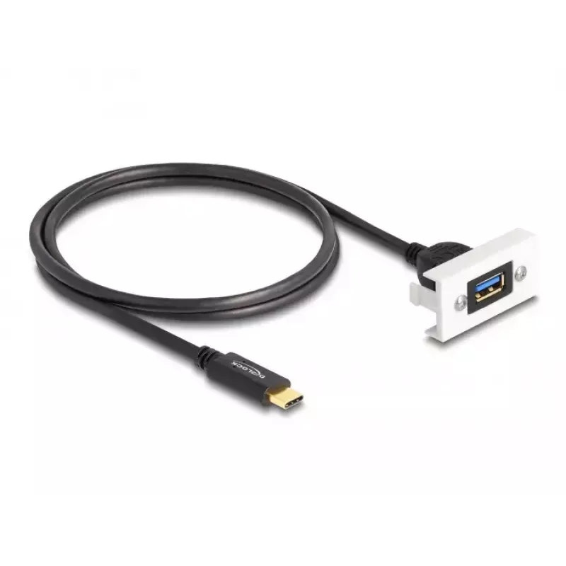 DeLOCK Easy 45 -moduuli SuperSpeed USB 10 Gbps USB Type-A naaras USB Type-C uros