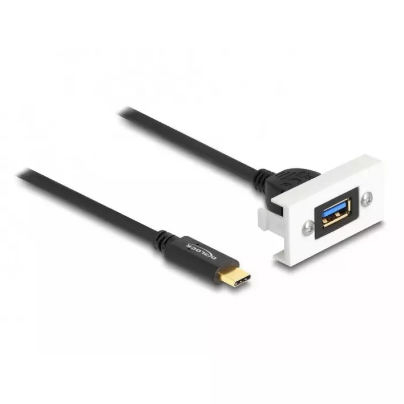 DeLOCK Easy 45 -moduuli SuperSpeed USB 10 Gbps USB Type-A naaras USB Type-C uros
