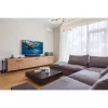 Hama Basic sisä-tv-antenni