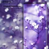 Karkaistu lasi KAPSOLO iPhone 11 Pro Max XS MAX