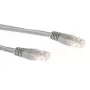 ACT Harmaa 0,25 metrin LSZH U/UTP CAT6A -verkkokaapeli RJ45-liittimillä