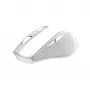 Trust Nito hiiri yleinen oikeakätinen RF Wireless optinen 2200 DPI