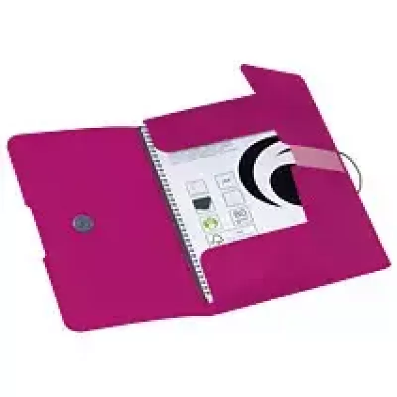 Kansio Herlitz 11216538 polypropeeni (PP) pinkki