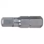 Ruuvauskärki KS Tools 910.2259 Hex ruostumaton teräs 25 mm