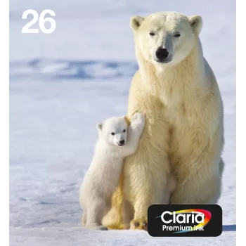 Epson Polar bear -monipakkaus, 4 väriä, 26 EasyMail, vakiottuotto, musta, syaani, magenta, keltainen, pigmenttimuste, väriainemuste, 6,2 ml, 4,5 ml