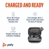 HP Poly Voyager Free 60 UC M Carbon musta nappikuulokkeet +BT700 USB-C sovitin +Basic Charge Case