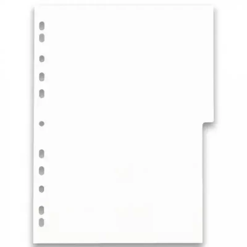 Välilehti Elba Oxford 400005445 — A4 polypropeeni (PP), lajitellut värit, 6 kpl, 227×300 mm