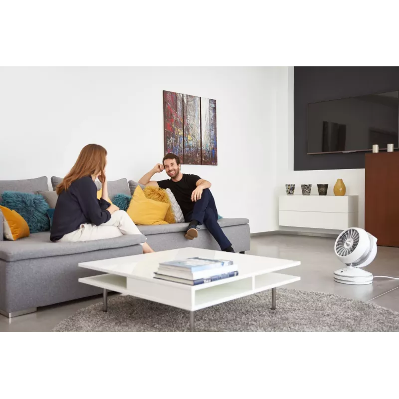 Rowenta HQ7152 sisäkäyttöön valkoinen, hopea tuuletin sähköinen tilalämmitin