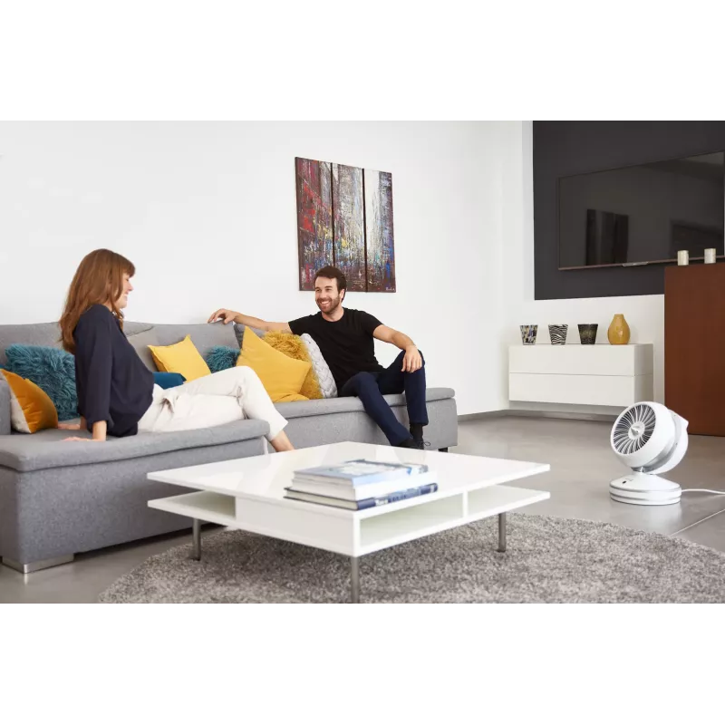Rowenta HQ7152 sisäkäyttöön valkoinen, hopea tuuletin sähköinen tilalämmitin