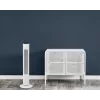 Kotitalouden tornituuletin Rowenta Eole VU6871 valkoinen 40W AC 220-240V