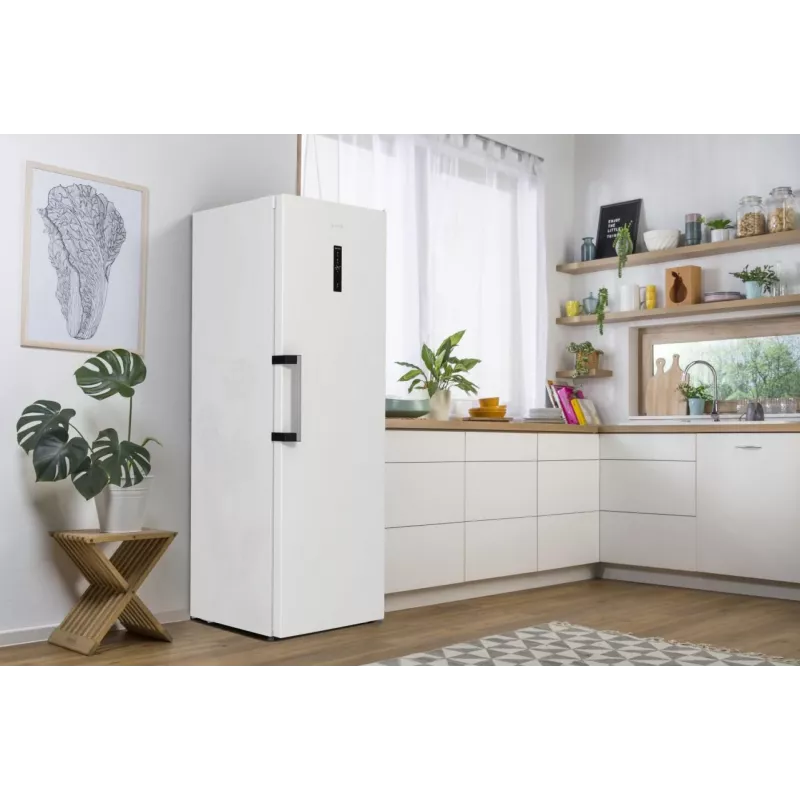 Gorenje FN619EAW6 pakastin erillinen 280 L valkoinen
