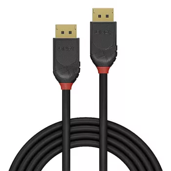 Lindy 36521 DisplayPort-kaapeli 2 m musta