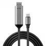 Lindy 43504 videokaapelisovitin 2 m USB Type-C DisplayPort, harmaa