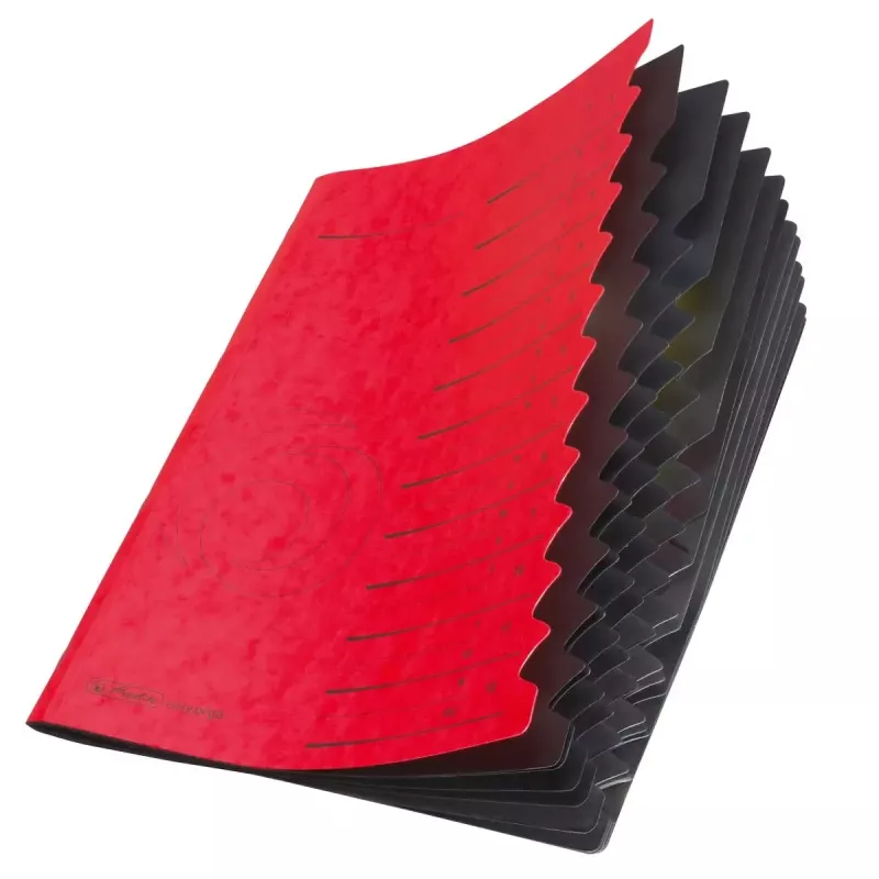 Esityskansio Herlitz 10843324