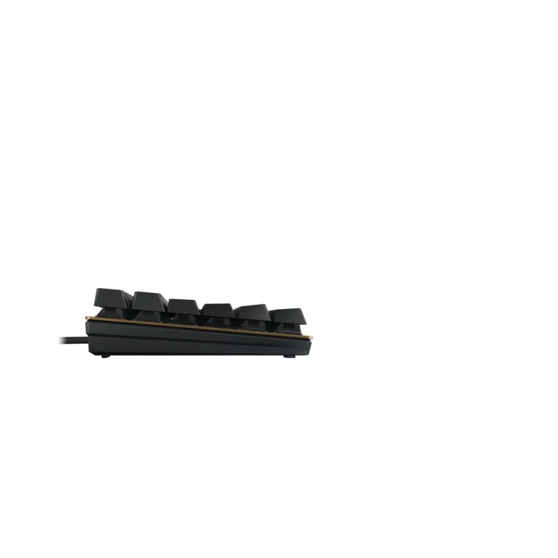 CHERRY KC 200 MX näppäimistö yleismalli USB AZERTY ranska musta, pronssi
