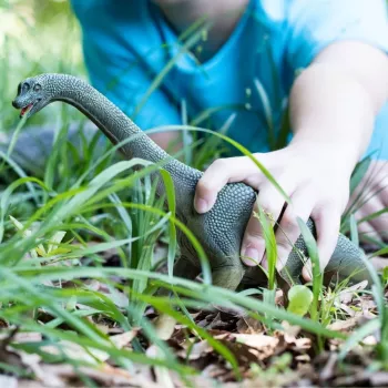 schleich Dinosaurier Brachiosaurus, 4 vuotta, dinosaurusten aika, Die Eroberung der Erde, dinosaurukset ja tulivuori, Die ersten Giganten, monivärinen, muovi