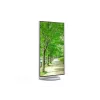 Sharp MultiSync EA272U -tietokonenäyttö 68,6 cm (27