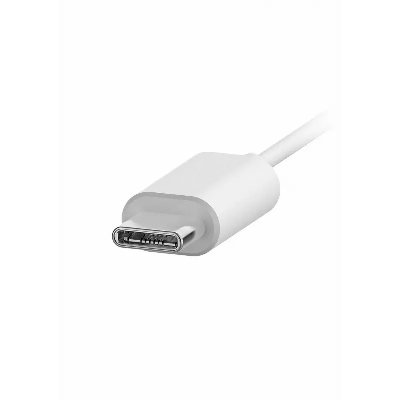 Philips TAE5008WT/00 kuulokkeet/headset johdollinen in-ear puhelut/musiikki USB Type-C valkoinen