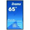 Digitaalinen infonäyttö IIYAMA LH6552UHS-B1 64,5 tuumaa IPS 4K 3840x2160 500 cd/m² Android 8.0 24/7 musta