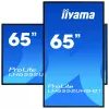 Digitaalinen infonäyttö IIYAMA LH6552UHS-B1 64,5 tuumaa IPS 4K 3840x2160 500 cd/m² Android 8.0 24/7 musta